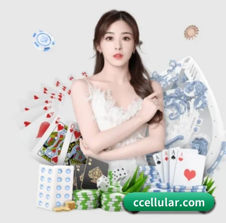 每个板块围绕一个运动项目展开